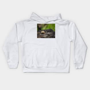 White-lipped Snail Close-up Kids Hoodie